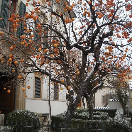 Dragonetti 4* LʼAquila