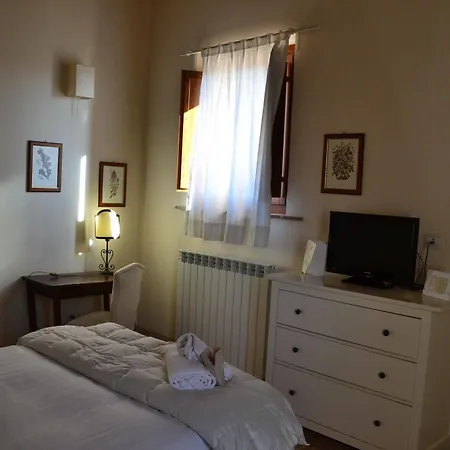 Dragonetti 4*